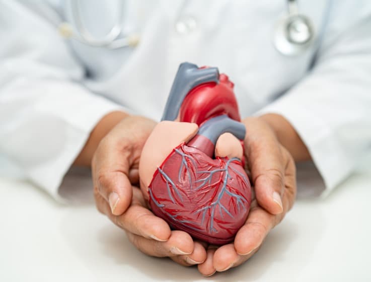 Preventive cardiovascular care planning